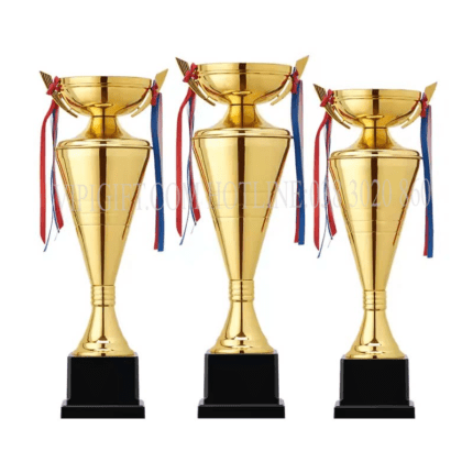 cúp_cup12