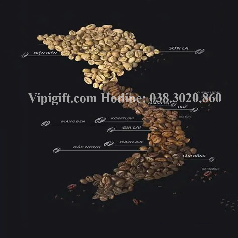  cà phê phin Việt 
